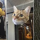 ���� ���������, �������, 52 ���� - ��������� 10 ���� 2026 � ������ ������ ��������
