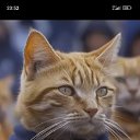 ���� ����������, ������, 47 ��� - ��������� 1 ������ 2024 � ������ ���� ����������