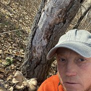 ����, 24 ����, ��������