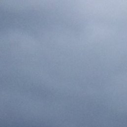 ��������, �����, 51 ���