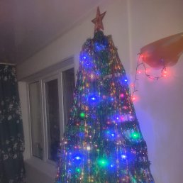 ���� �����, ������, 50 ��� - ��������� 27 ������� 2023