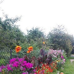 ����, �������� , 25 ���