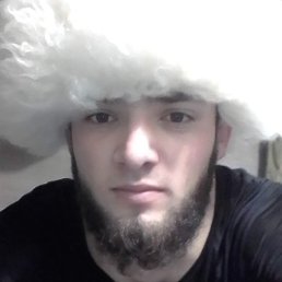 ����, �����-���������, 31 ���