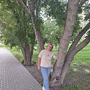 ���� �����, �����������, 41 ��� - ��������� 8 ������� 2025 � ������ ���� ����������