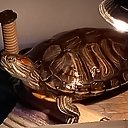 ���� �����, ��������, 47 ��� - ��������� 18 ���� 2025 � ������ ���� ����������