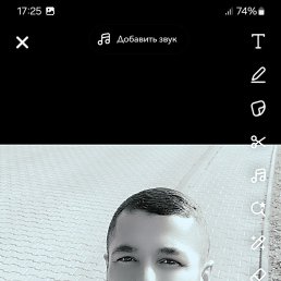 , 33, 
