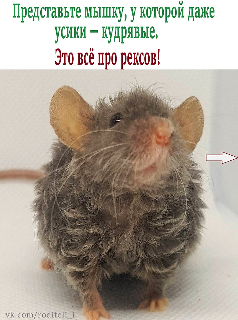   ,    ?