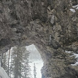 ���� ������, �������, 56 ��� - ��������� 3 ����� 2026