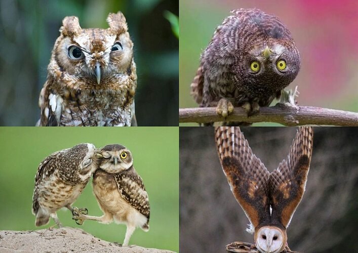  ,   ,     ,     ... - 2