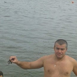 , 41, 
