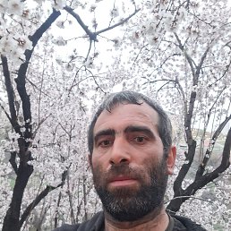 , 42, 