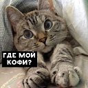 ���� �������, ����� - ��������� 31 ������� 2025 � ������ ���� ����������