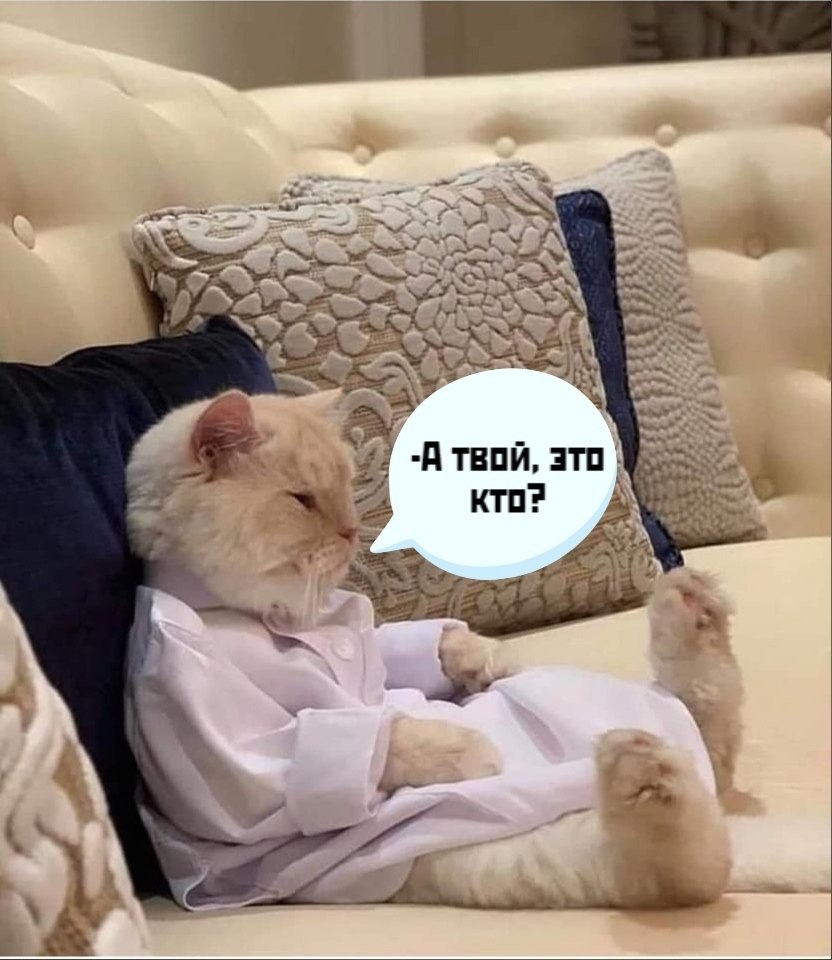       - 26  2025  13:24 - 2