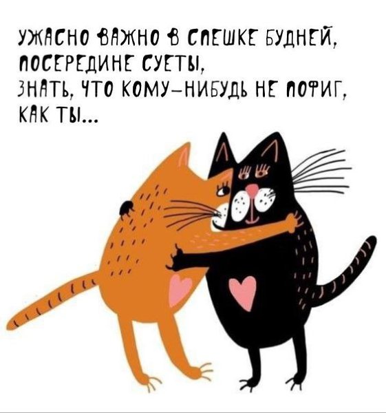   - 23  2024  20:15