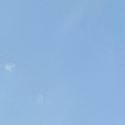 ���������, �����, 37 ���