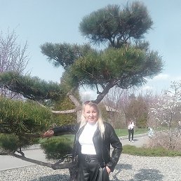 �����, �����������