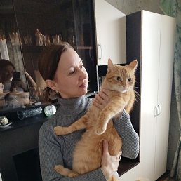 , 44, 