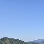 �����, 31 ���, �����-���������