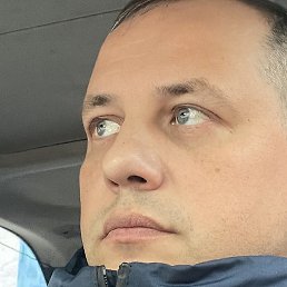 �����, ��������, 41 ���