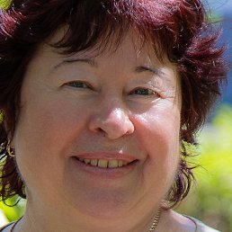 �������, �����������, 65 ���