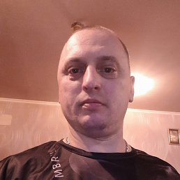 �������, 41 ���, ��������