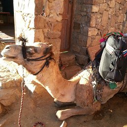 ���� ������, ������, 50 ��� - ��������� 5 ��� 2025