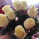 ���� �����, ������, 56 ��� - ��������� 31 ����� 2026 � ������ ���� ����������