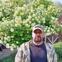 ������, ������������, 50 ���