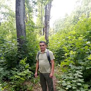 ���������, 40 ���, ����