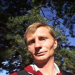 , 50, 