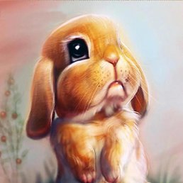 �����, ������, 36 ���