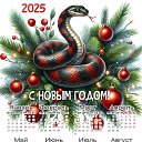 ���� ����, �������� - ��������� 9 ������ 2025 � ������ ������ ��������