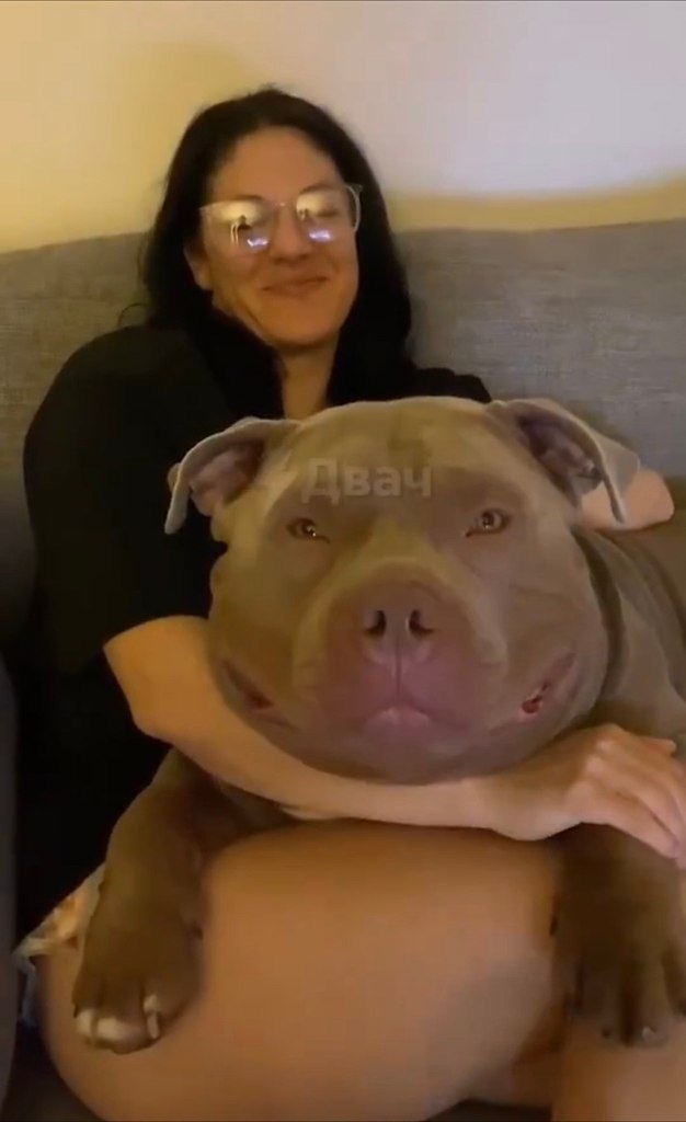 coa ce apcc po c aepac  o e .  ca o-acoe ... - 2