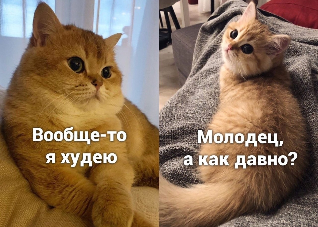 ����� �� ����)