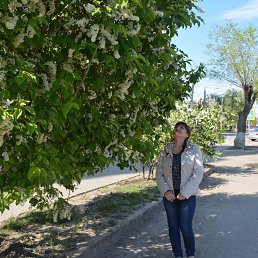 ���� �����, �������, 48 ��� - ��������� 5 ������ 2026