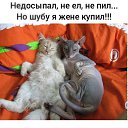 ���� �����, ������, 49 ��� - ��������� 2 ������� 2025 � ������ ������ ��������