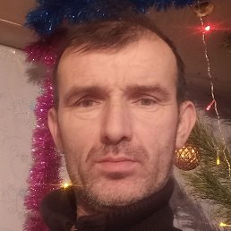 ���� ���������, ���������, 44 ����