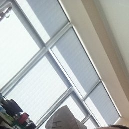 ��������, ������, 42 ����