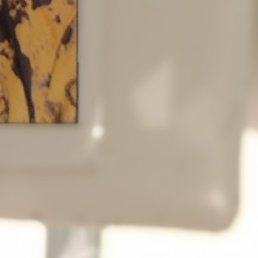 Osama, ���-���������, 24 ����