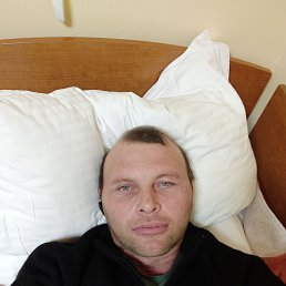 , 41, 