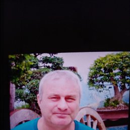 ������, 62 ����, ����