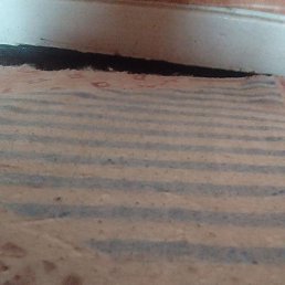 ���, ������, 36 ���