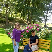 ����, 46 ���, ����-���