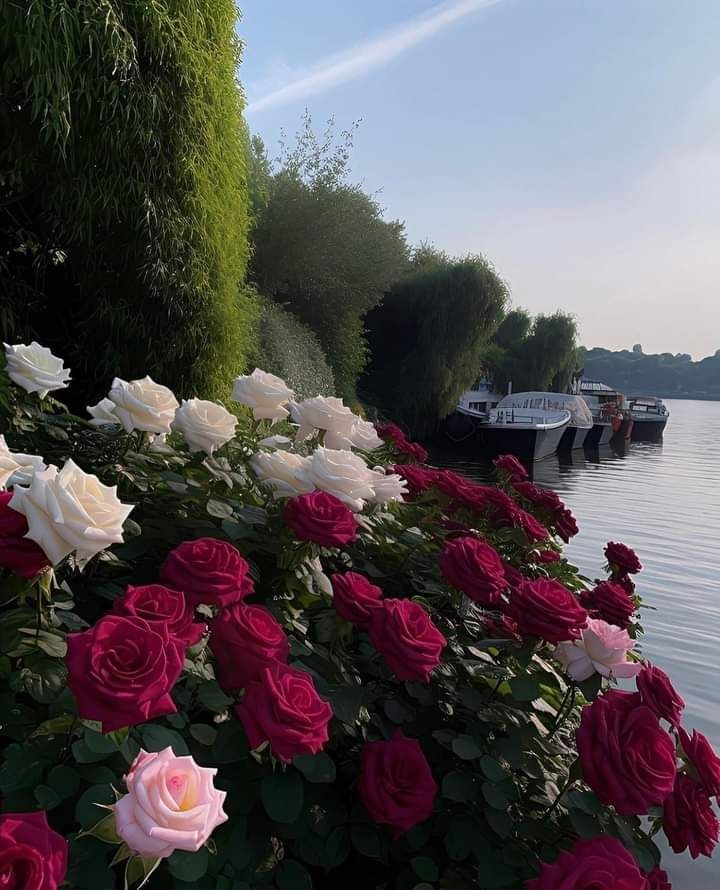   ,    . - 18  2023  00:02