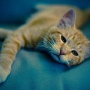 ���� �����, ������ - ��������� 25 ������� 2024 � ������ ���� ����������