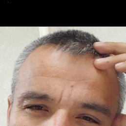 ����, �����������, 46 ���