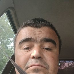, 41, 