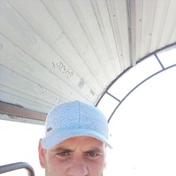 , 41, 