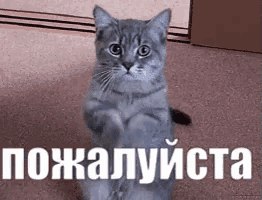 ���� ��������, ���������, 64 ���� - ��������� 24 ������� 2023