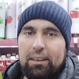 �����, ������, 38 ���